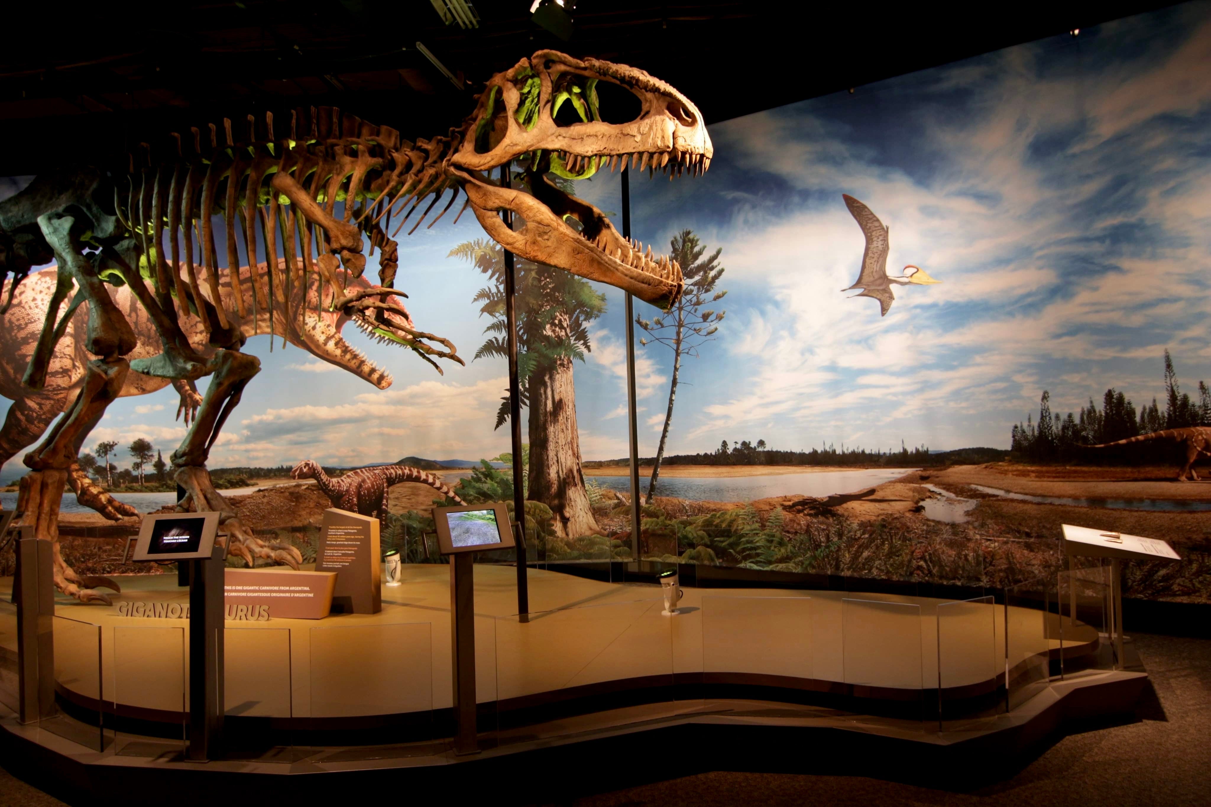 A scene from the Ultimate Dinosaurs exhibit at the Science Museum of Minnesota. 