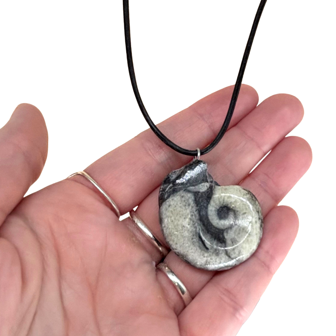 Goniatite Necklace