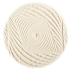 Foucault's Pendulumn 15"