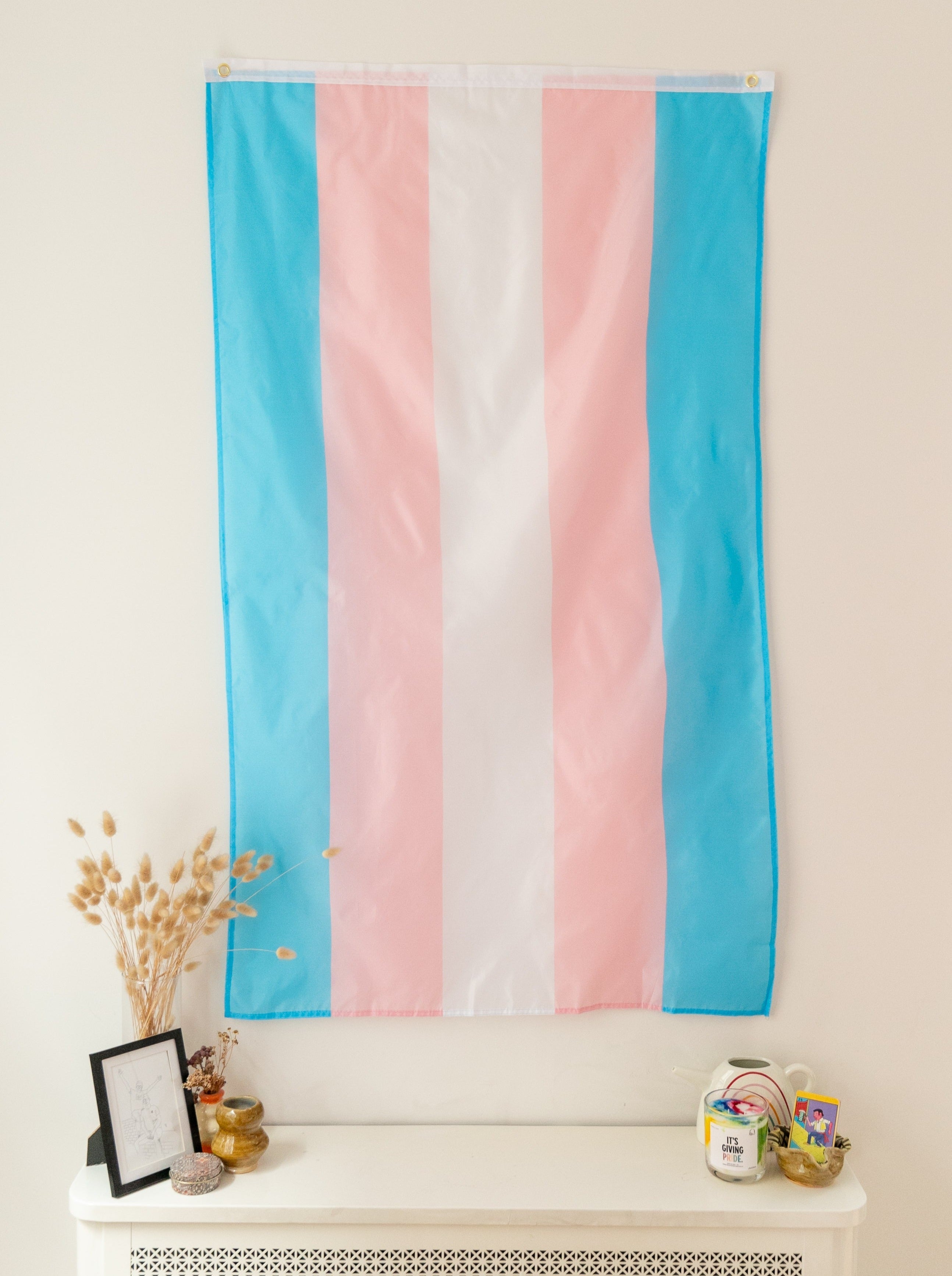 Trans Pride Flag – The Science Museum of Minnesota