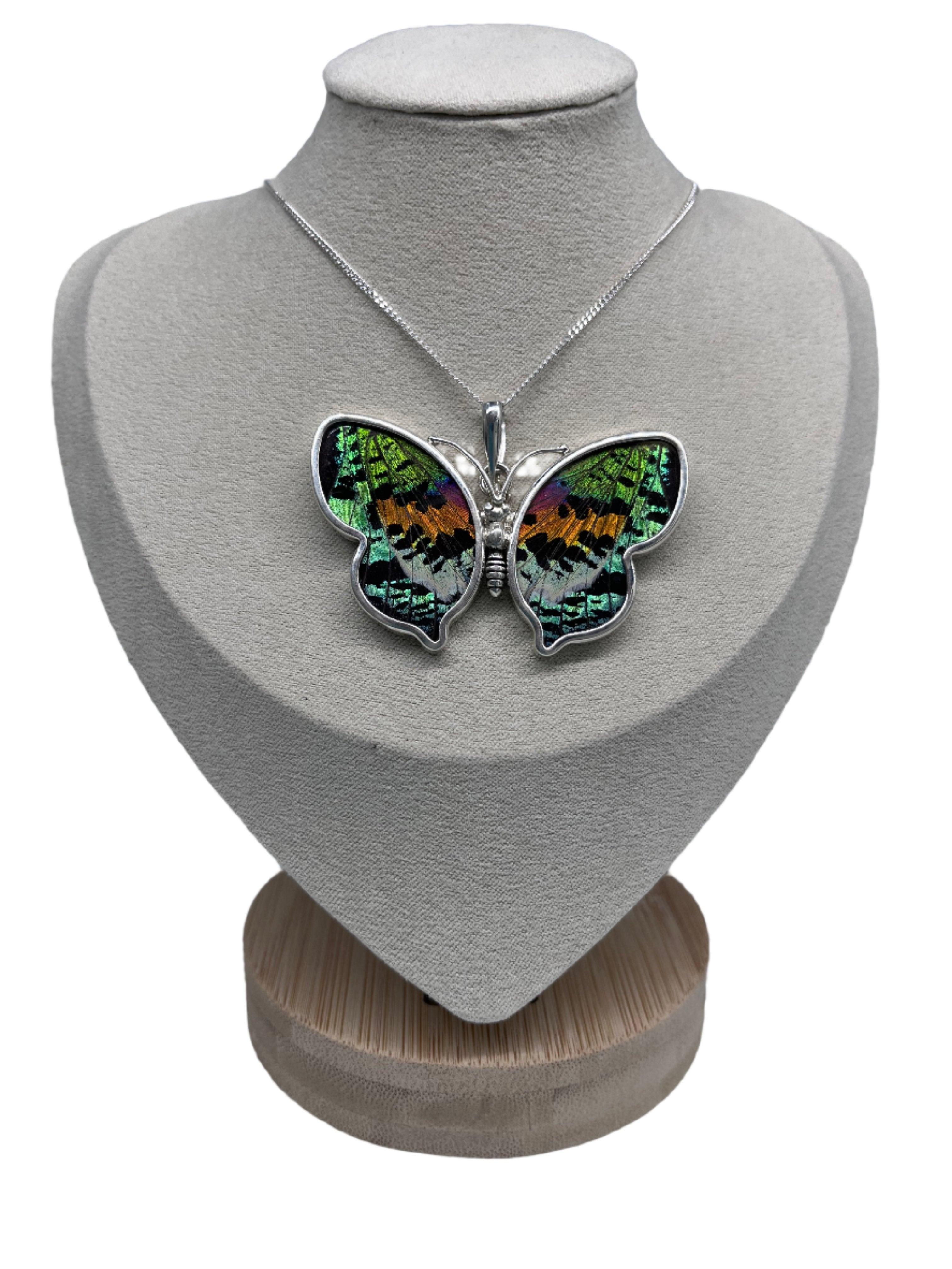 Ripheus Butterfly Necklace $165.00