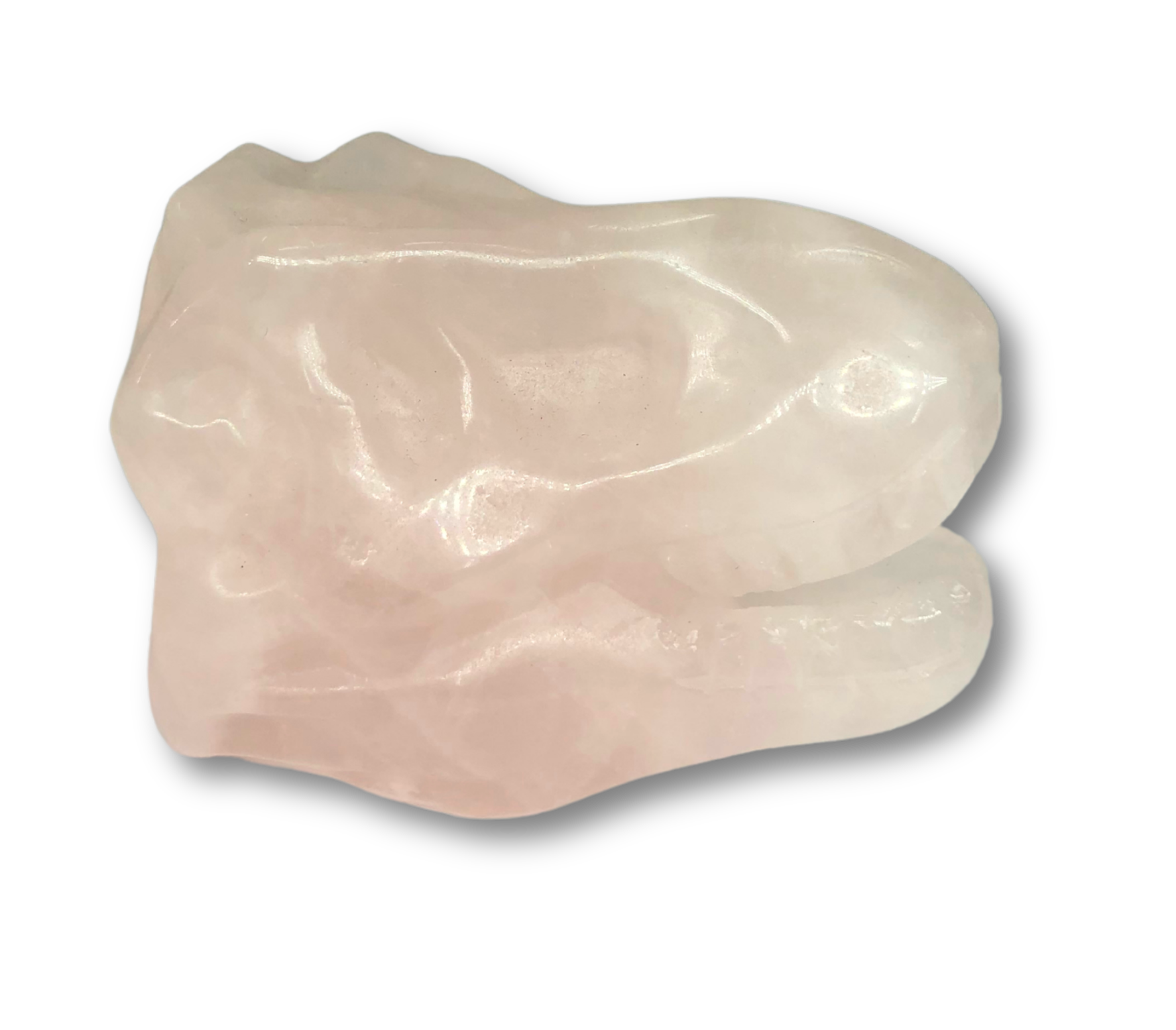 Mini Gemstone T-Rex Skull $24.00