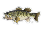 Minnesota Fish Stickers