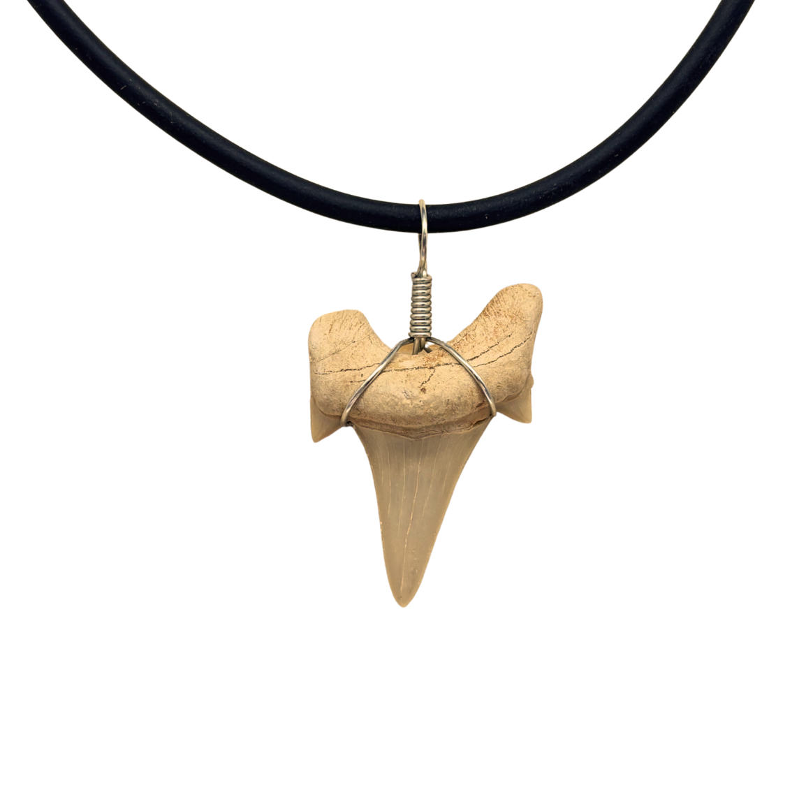 Shark Tooth Necklace