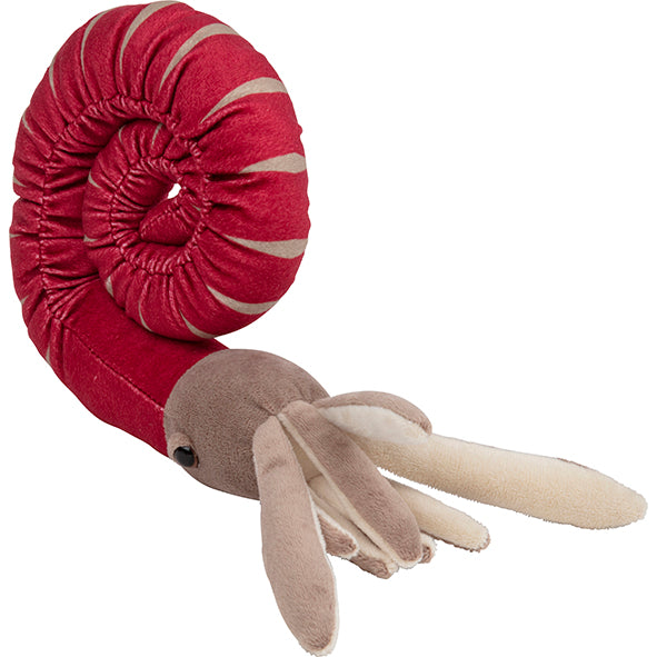 Ammonite Plush