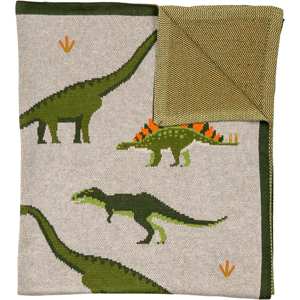 Organic Cotton Dinosaur Blanket