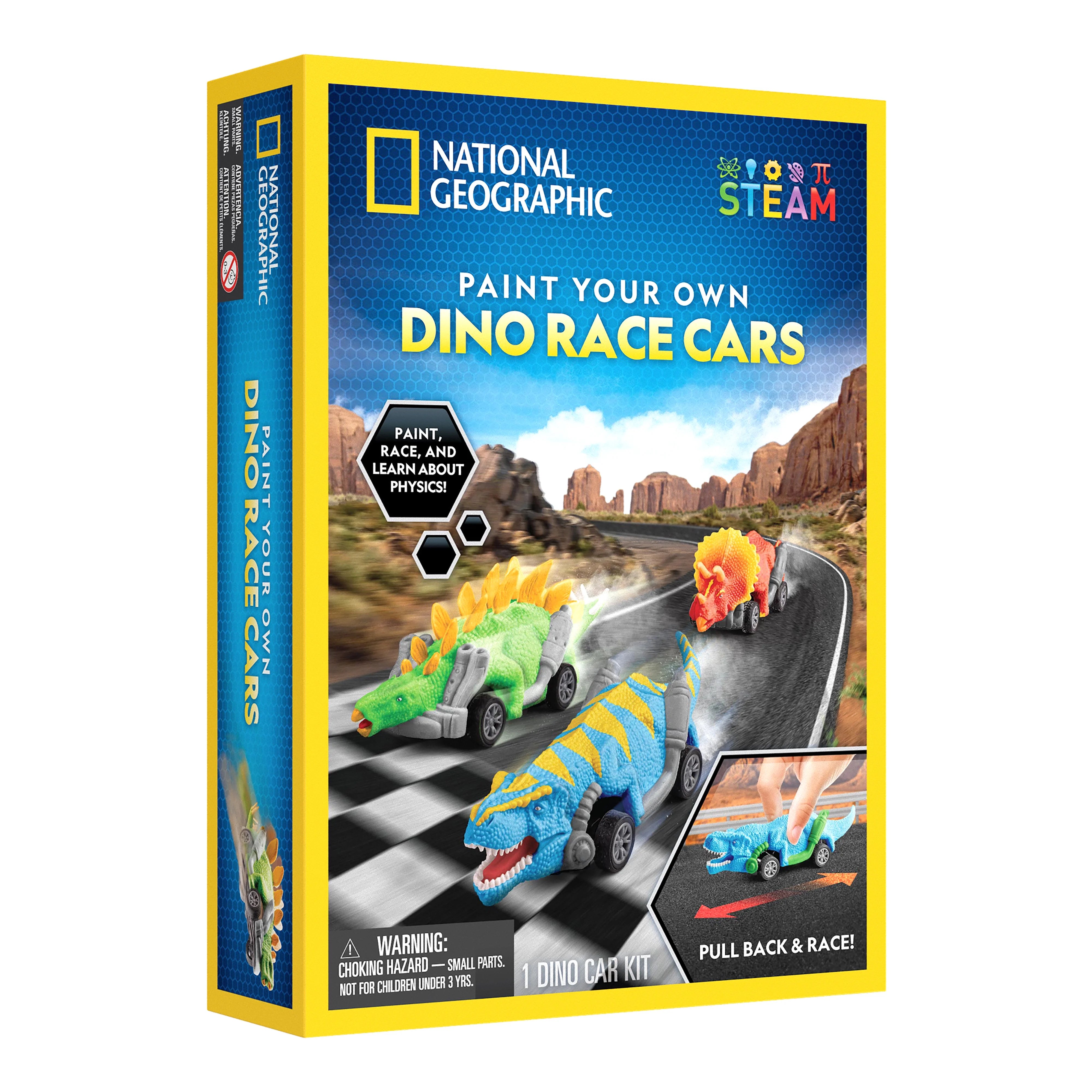 Paint Your Own Dino Race Cars