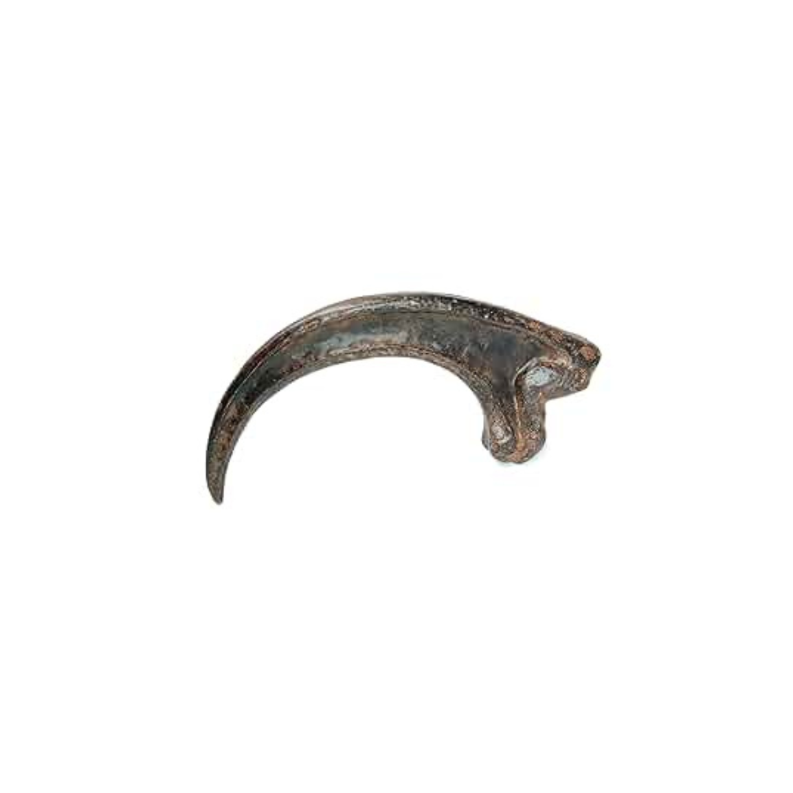 Raptor Claw Replica