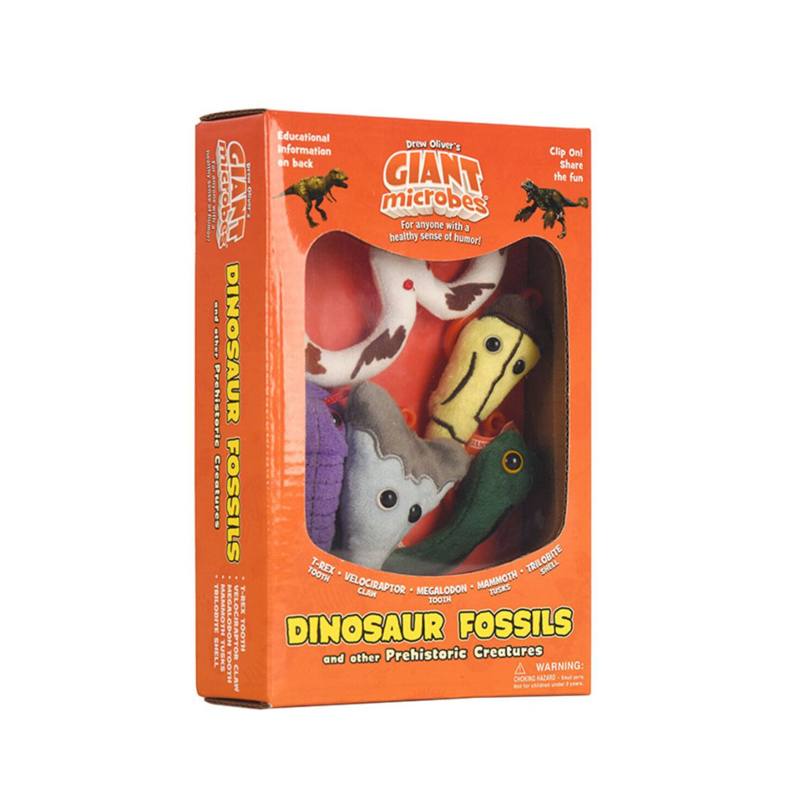 Dinosaur Fossils