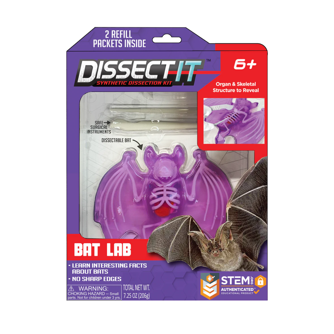 Bat Lab Dissect It Kit