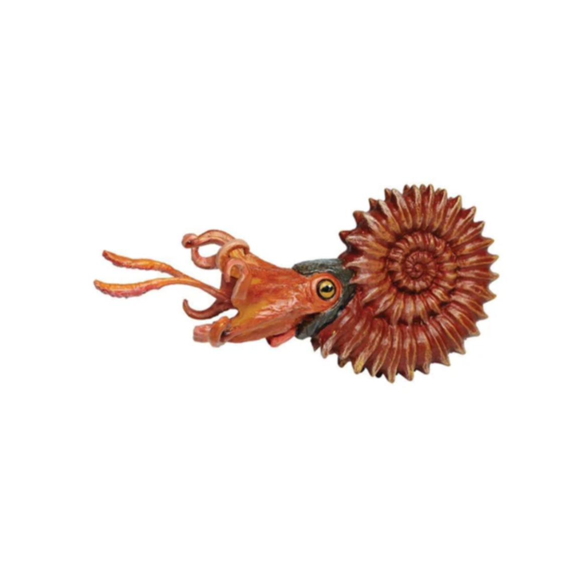 Ammonite Figurine