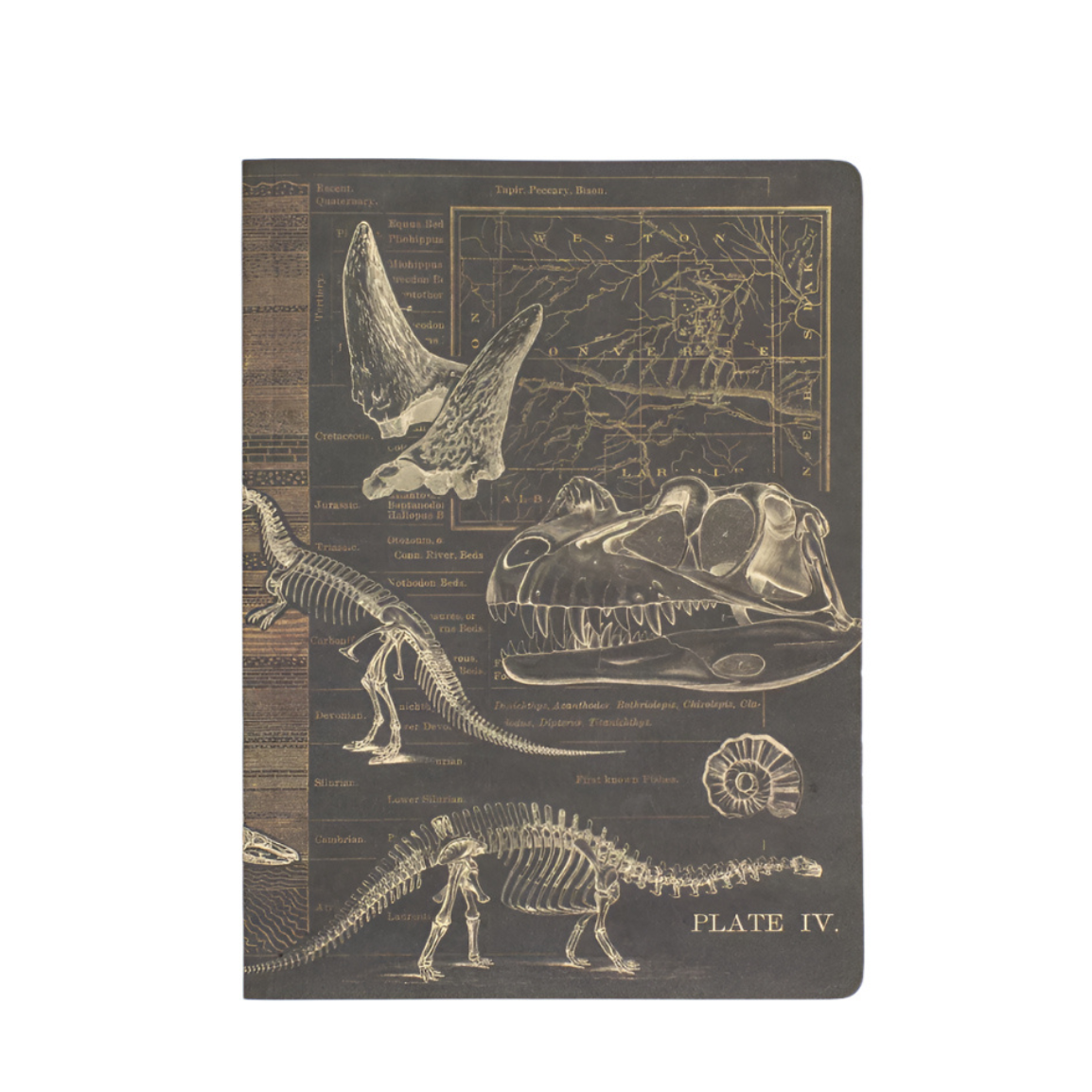Dinosaur Softcover Experiment Notebook