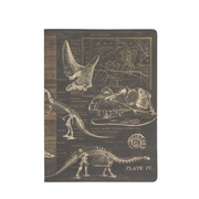 Dinosaur Softcover Experiment Notebook