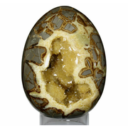 Septarian Egg $25.00