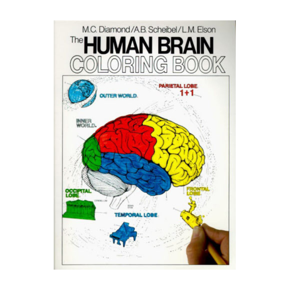 The Human Brain Coloring Book