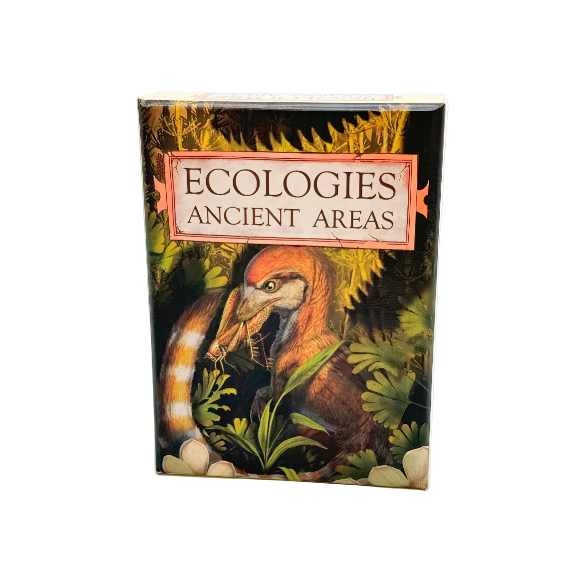 Ecologies: Ancient Areas Card Game