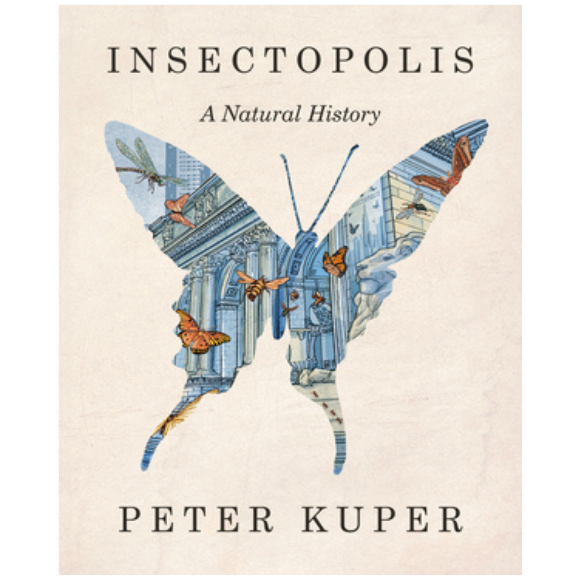 Insectopolis: A Natural History