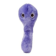 C. Diff Plush