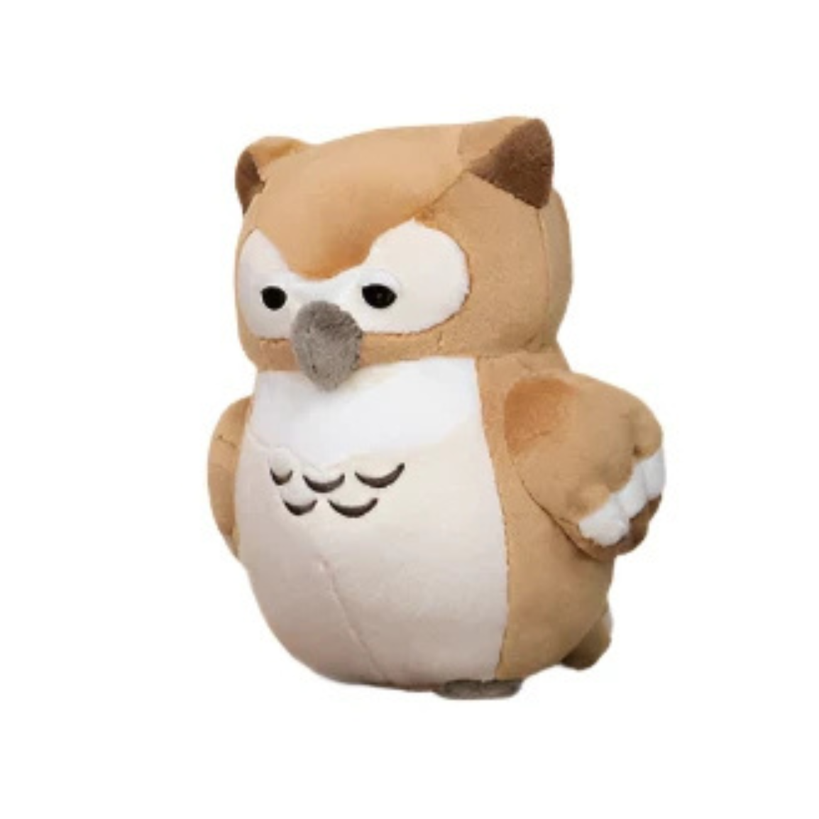 Owli the Mini Barn Owl