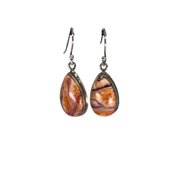 Copper Oyster Turquoise Earrings