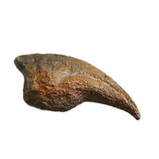 Anzu Cast Foot Claw