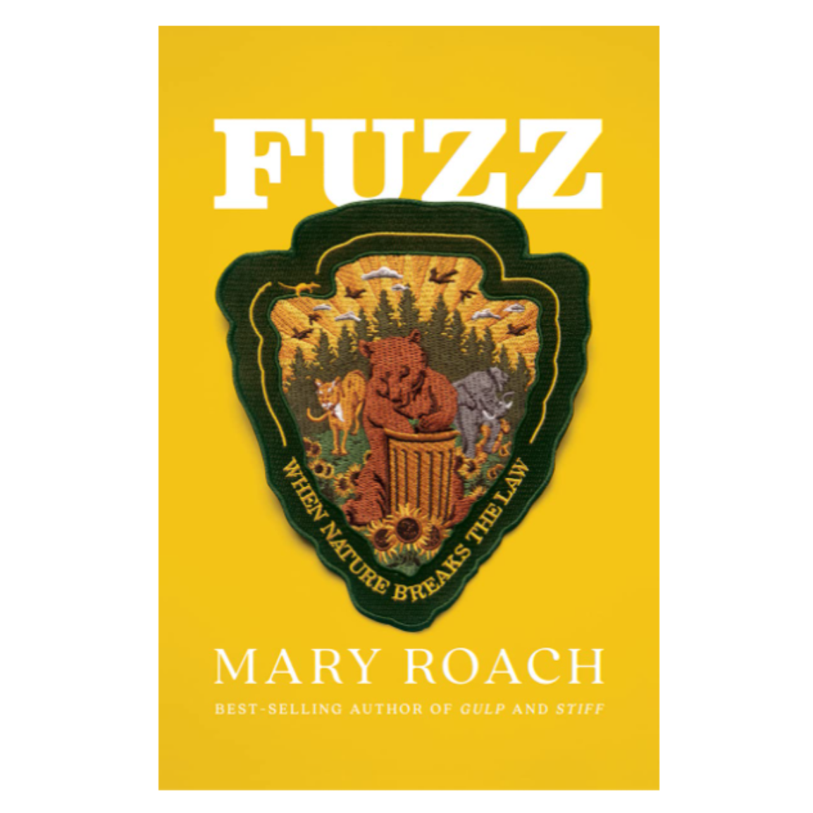 Fuzz: When Nature Breaks the Law