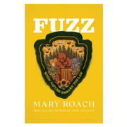 Fuzz: When Nature Breaks the Law