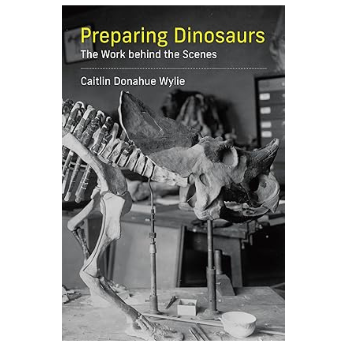Preparing Dinosaurs: The Work behind the Scenes