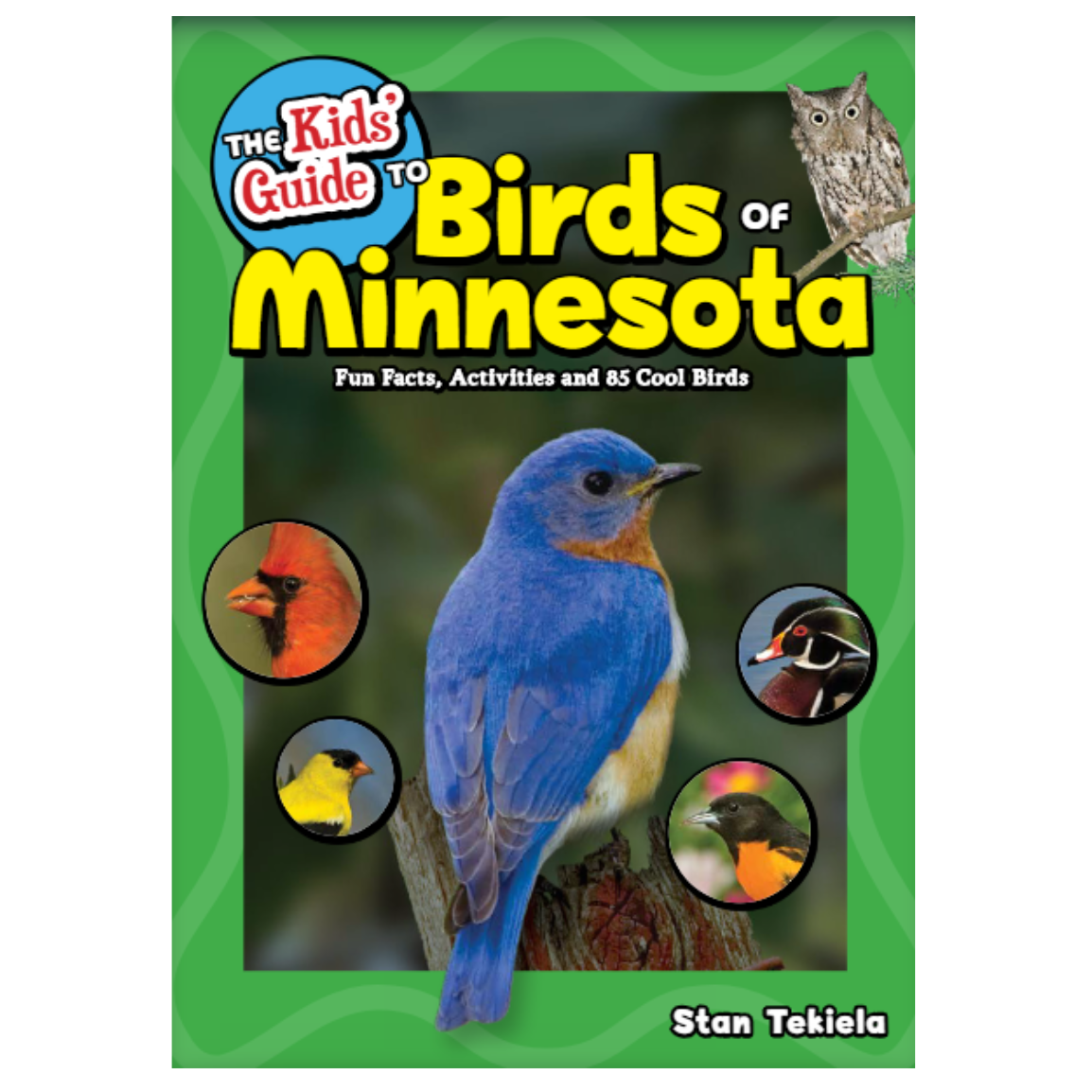Kids' Guide to Birds of Minnesota
