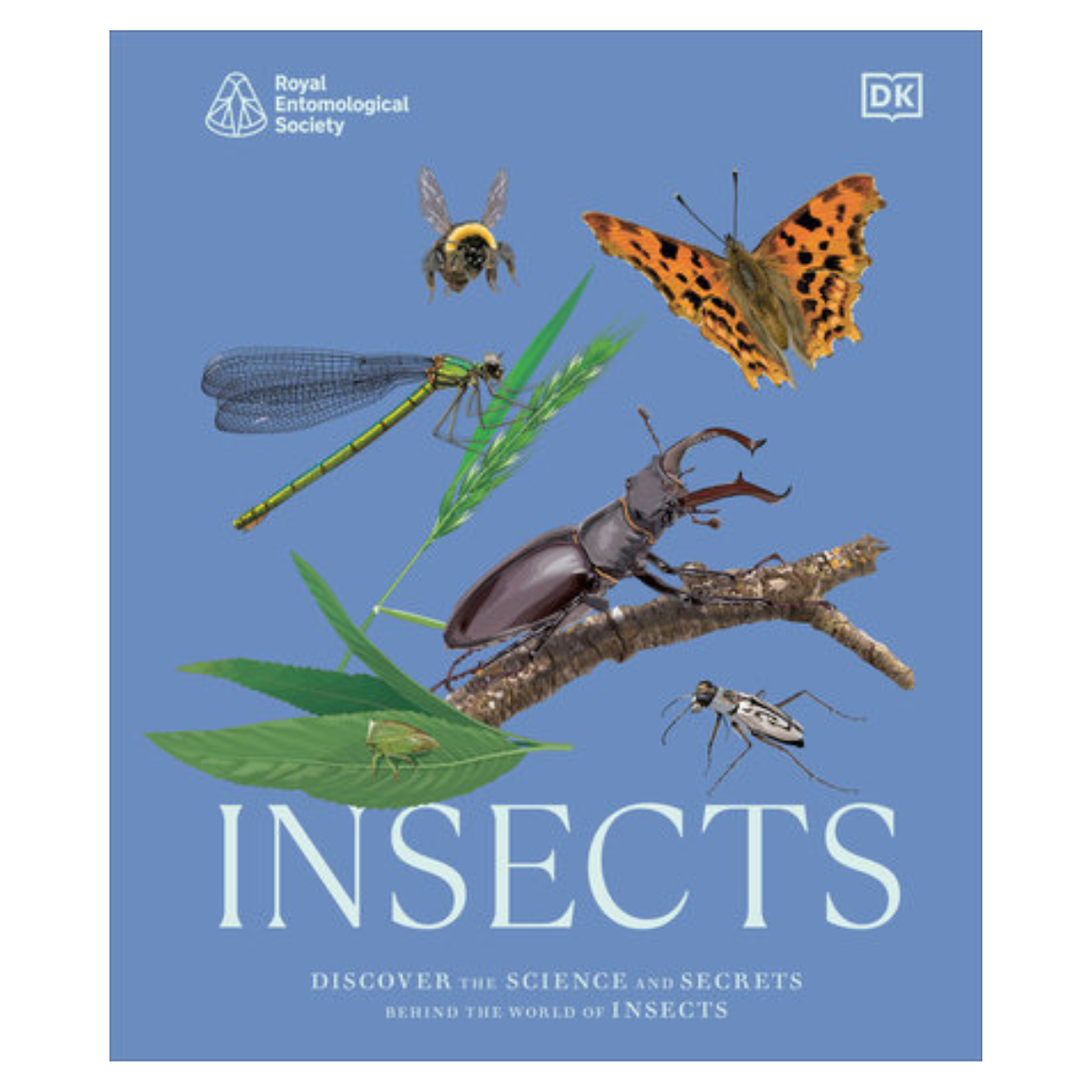 Insects
