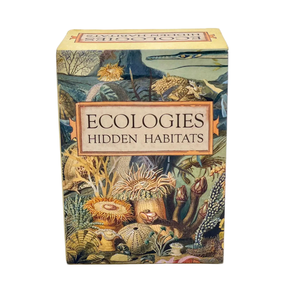 Ecologies: Hidden Habitats Card Game