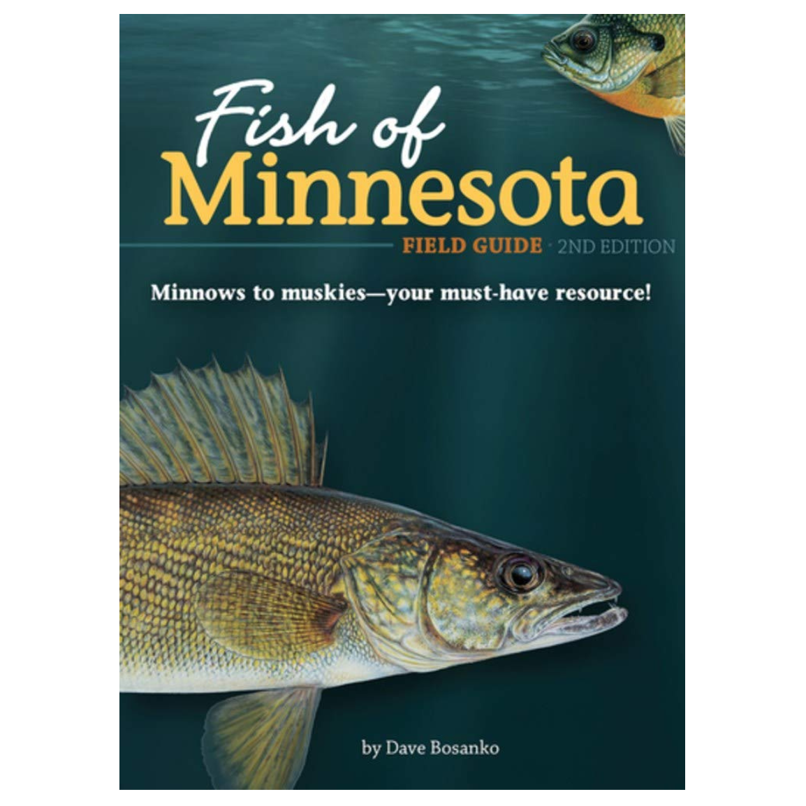Fish of Minnesota Field Guide 2nd Edition