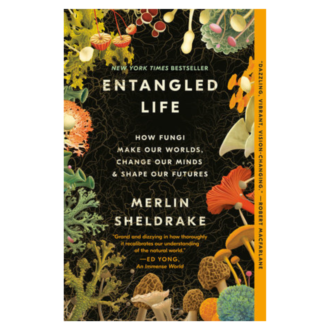 Entangled Life Paperback