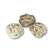 Desert Rose $15.00