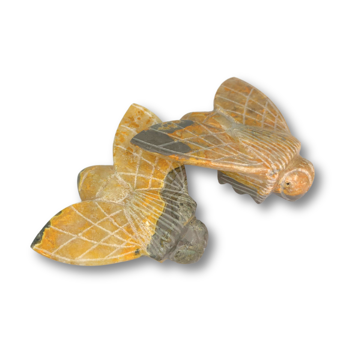 Bumblebee Jasper Bumblebee
