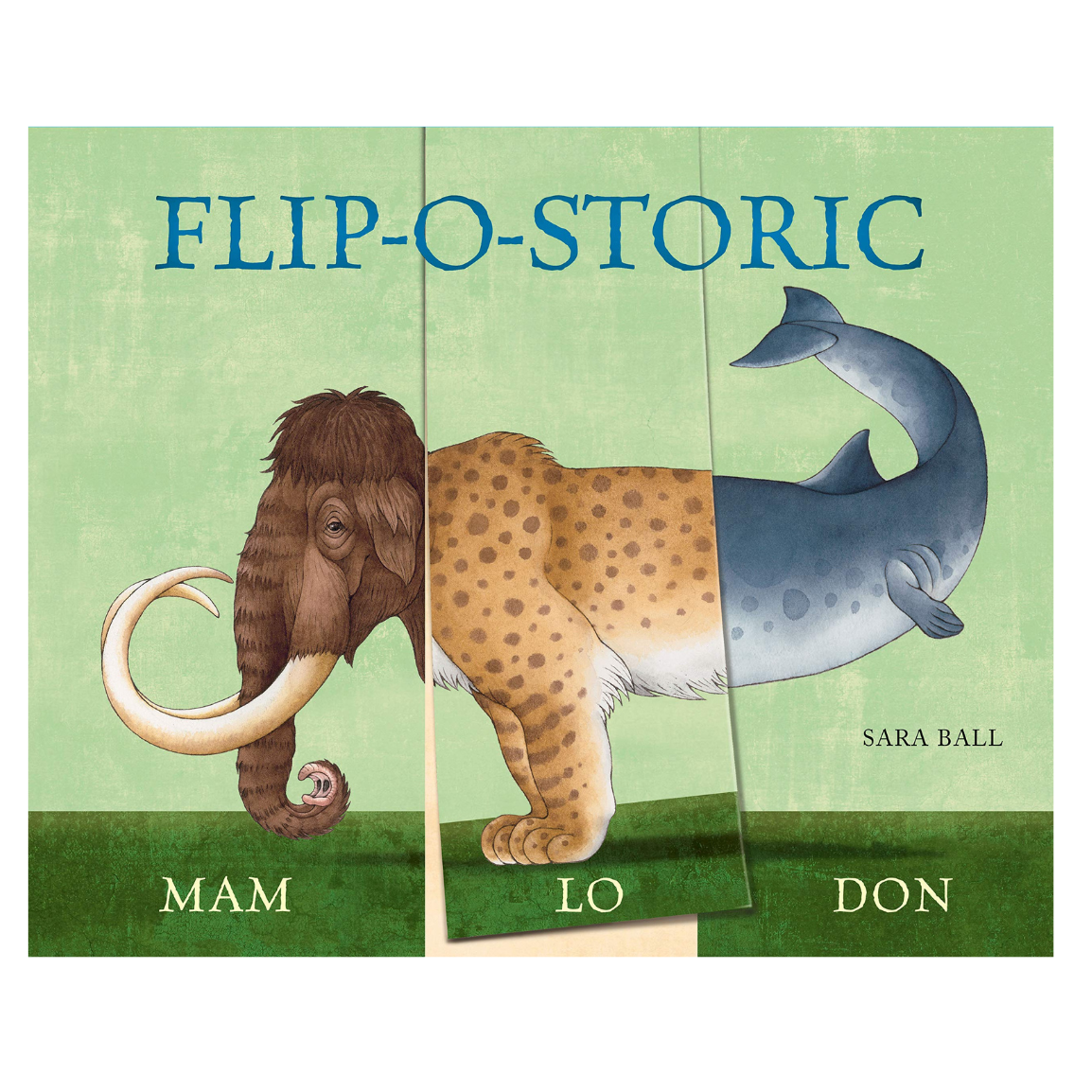 Flip-o-Storic