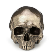 Steampunk Craniumography Jawless Skull
