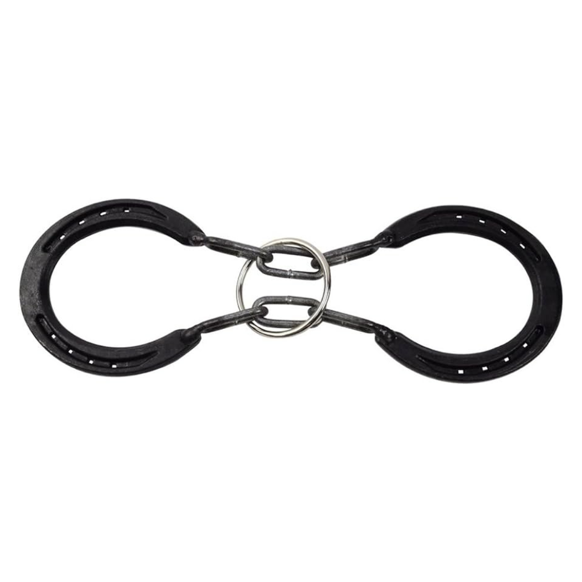 Horseshoe Puzzle