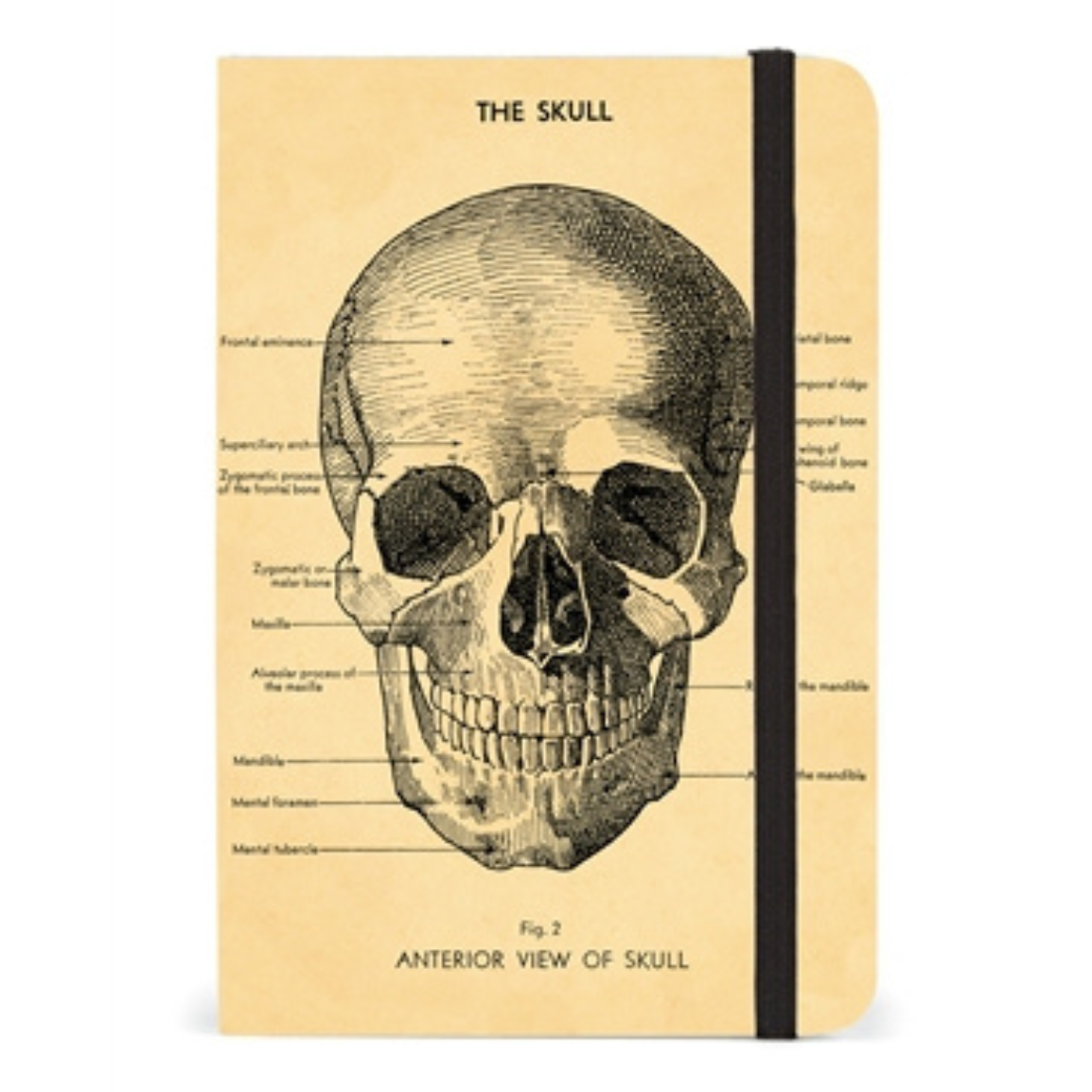 Skull Journal