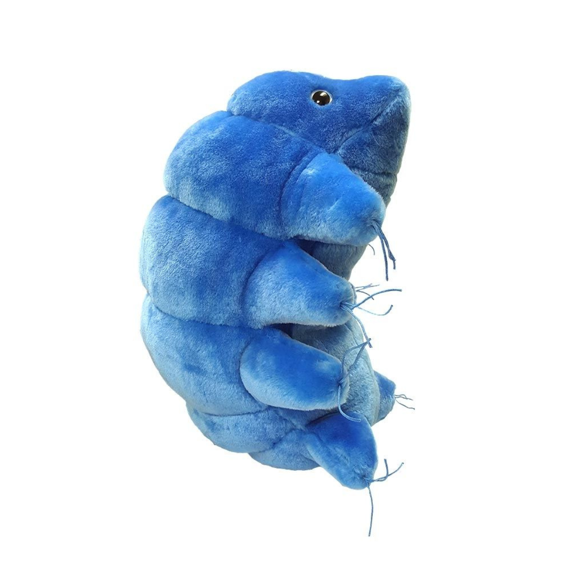 Waterbear Plush