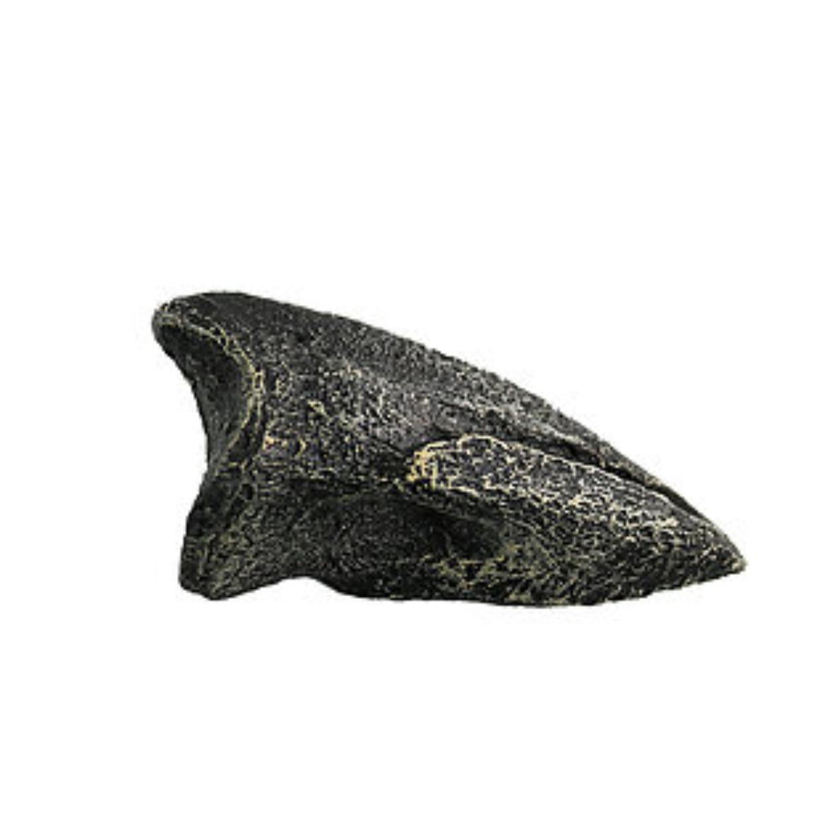 Ornithomimus Cast Foot Claw