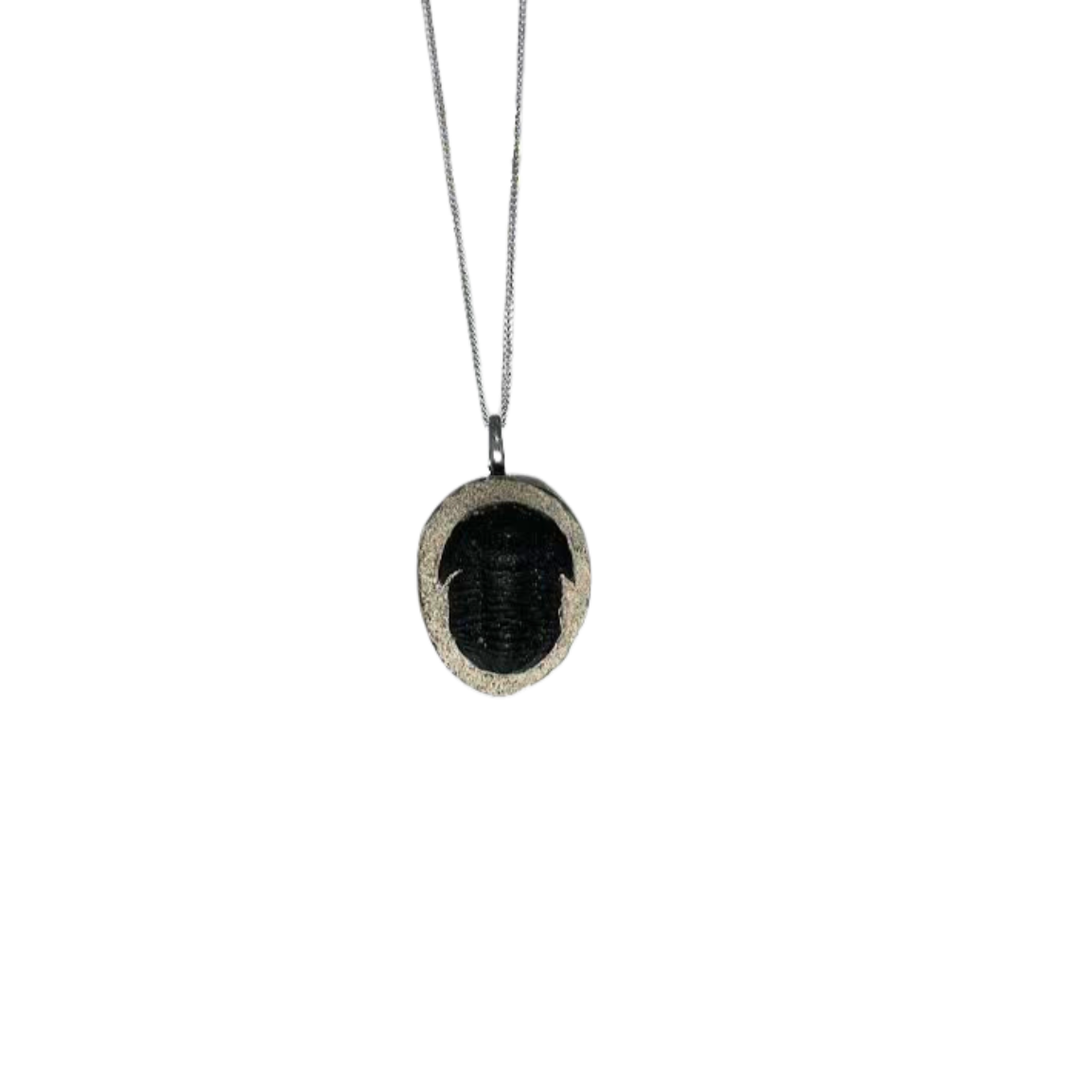 Trilobite Necklace