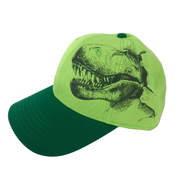 Science Museum Of Minnesota Dinosaur Hat