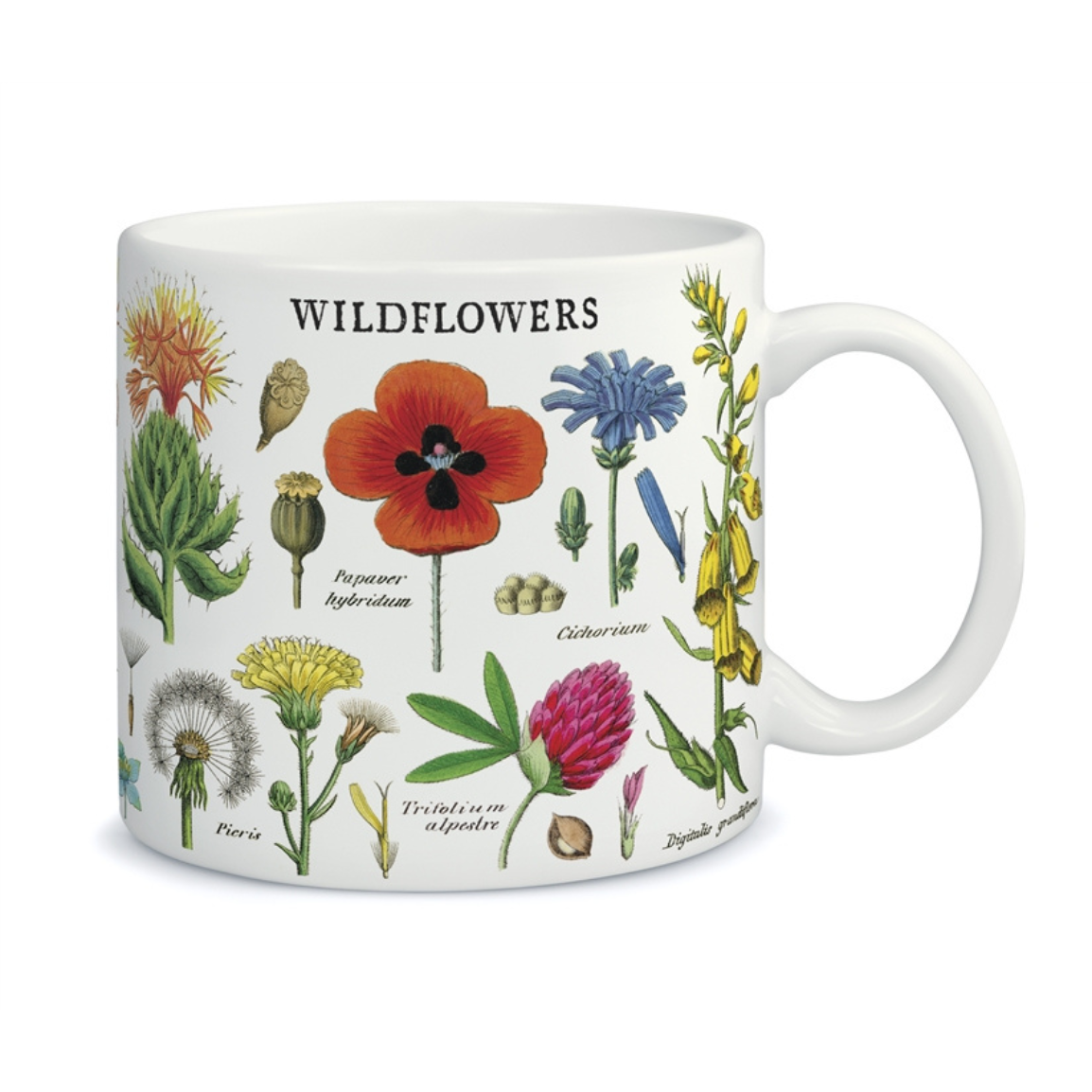 Wildflowers Vintage Mug