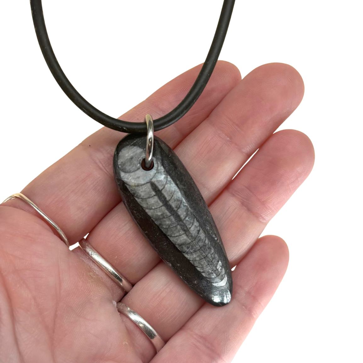 Orthoceras Necklace