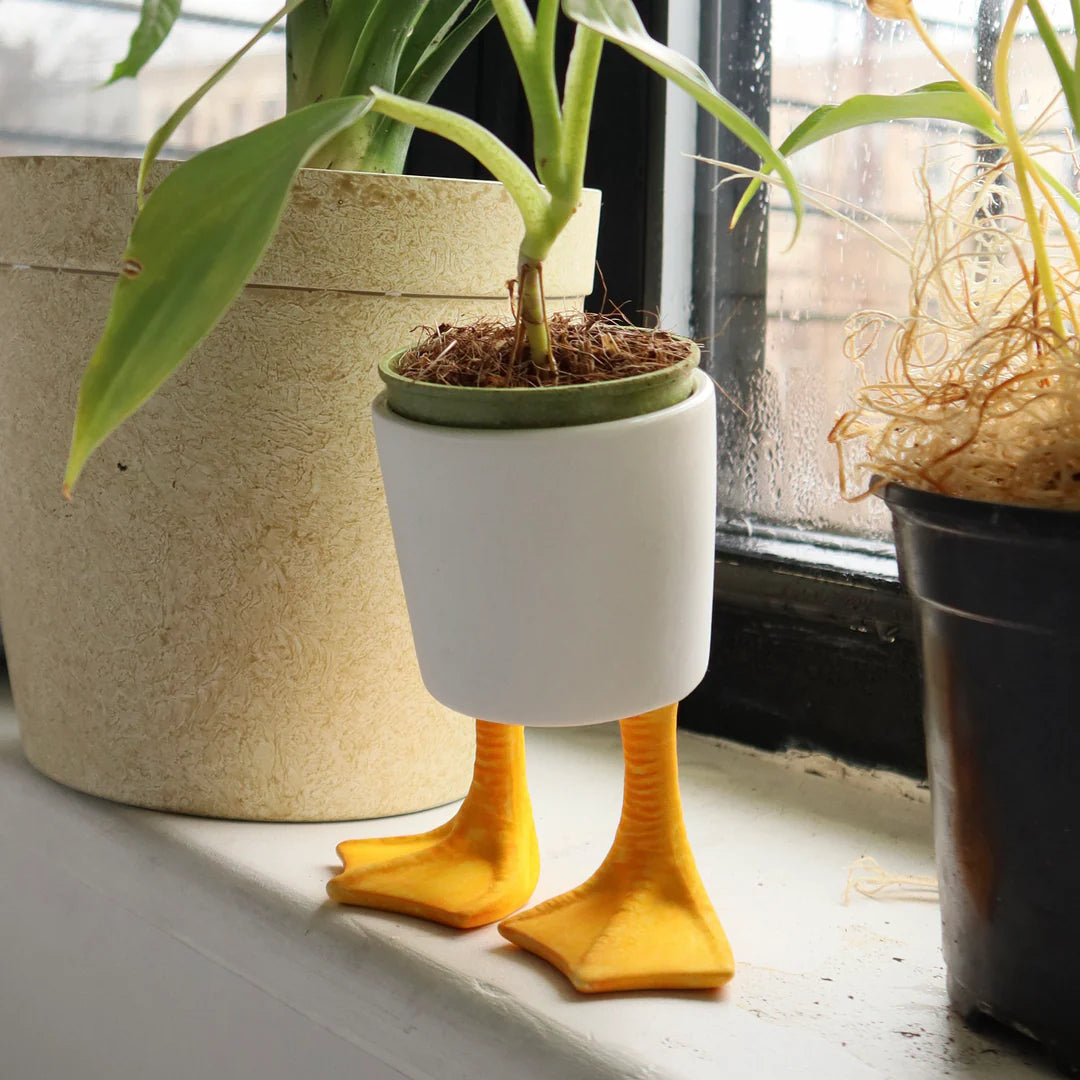 Large Duck Feet Planter