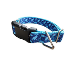 Blue Dinosaur Nylon Dog Collar