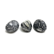 Pinolith $3.00
