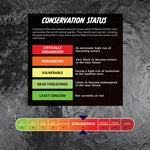 Shark Lab Virtual Reality Science Kit