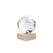 Round Galileo Thermometer